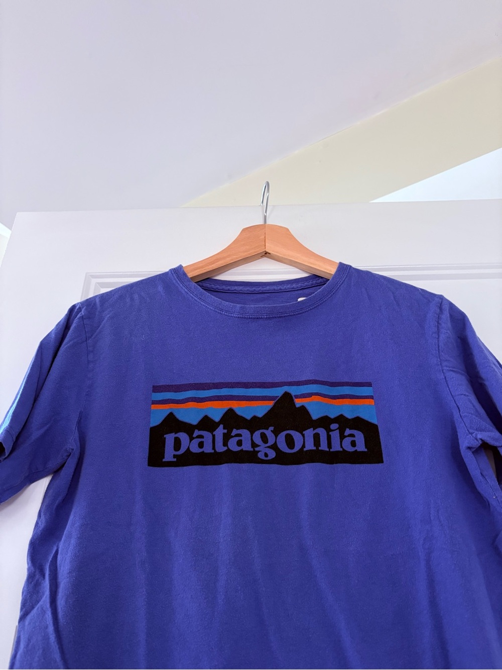 Patagonia Purple Logo Short Sleeve Tee Sz 14